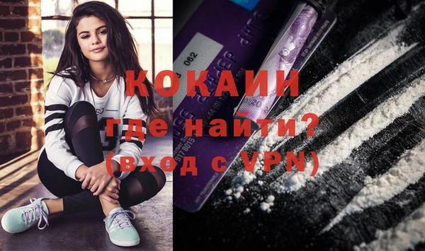 прущие грибы Елизово