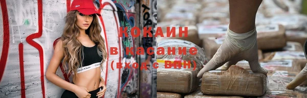 прущие грибы Елизово