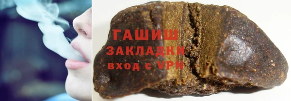 прущие грибы Елизово