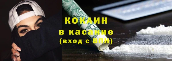 прущие грибы Елизово