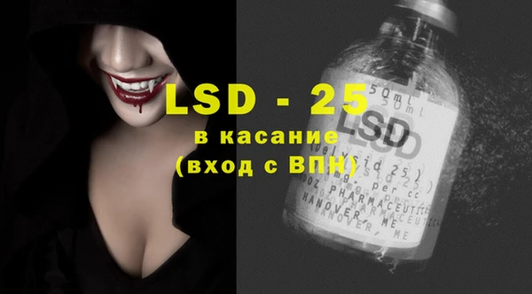 прущие грибы Елизово