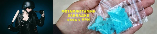 прущие грибы Елизово