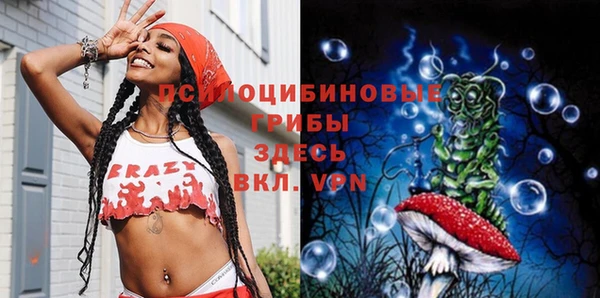 прущие грибы Елизово