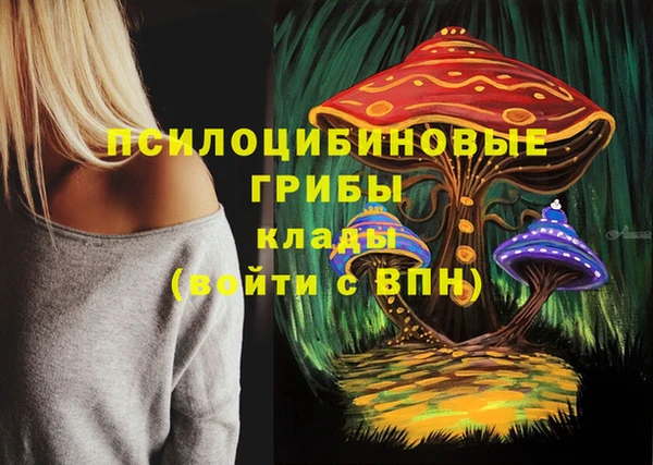 COCAINE Ельня