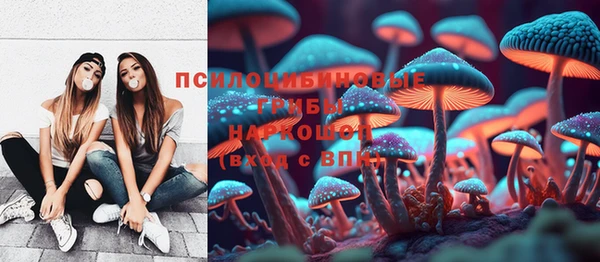 прущие грибы Елизово