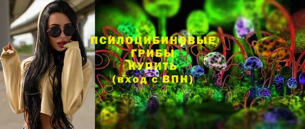 ECSTASY Краснослободск