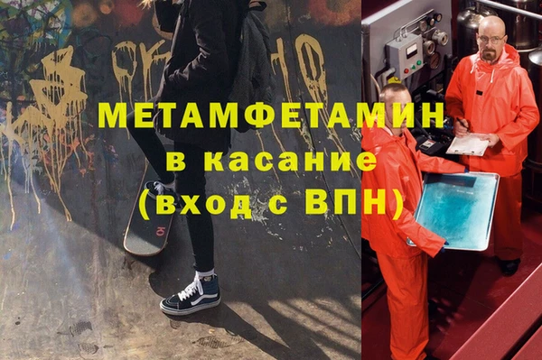 прущие грибы Елизово