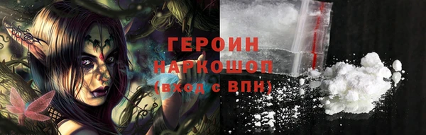 прущие грибы Елизово