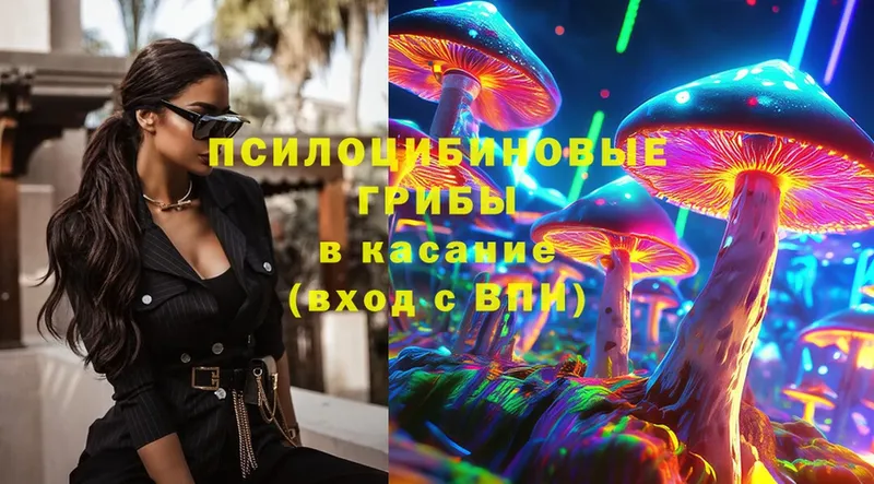 магазин продажи   мега tor  Псилоцибиновые грибы Magic Shrooms  Благовещенск 