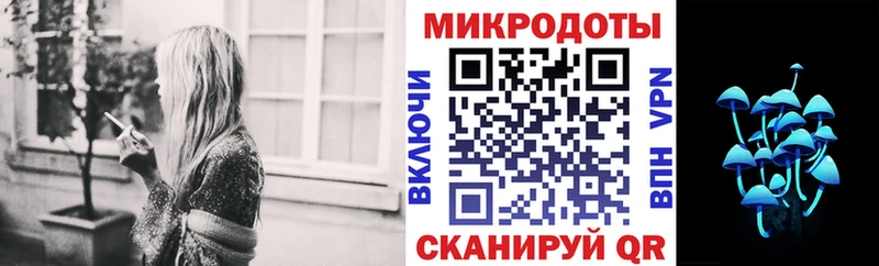 гидра   Благовещенск  Галлюциногенные грибы Psilocybine cubensis 