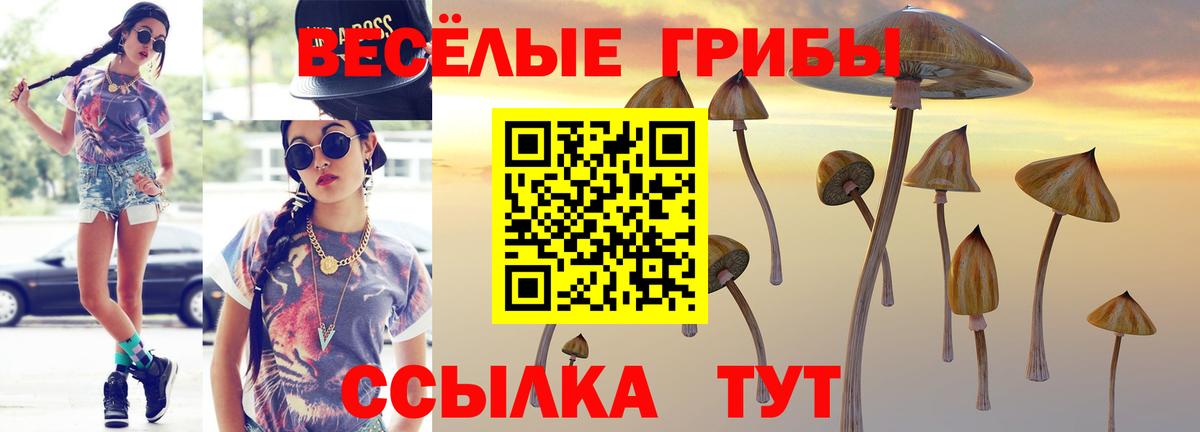 Галлюциногенные грибы Cubensis  Вход с VPN  Благовещенск 