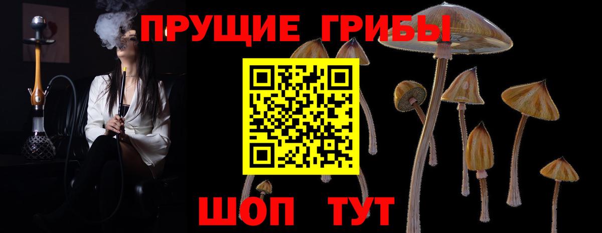 Псилоцибиновые грибы ЛСД Благовещенск