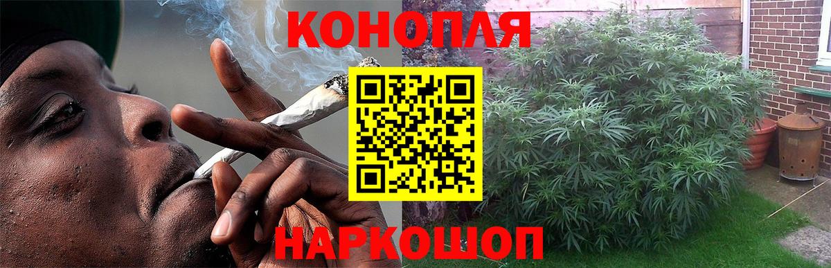 Благовещенск  Марихуана Bruce Banner  Марихуана планчик  Вход с VPN  Марихуана ГИДРОПОН  Марихуана тримм 